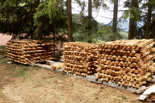 Klimafitte Wälder und Bauen mit eigenem Holz