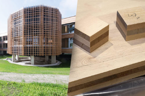 Holzbaupreis Kärnten 2021, Bauen mit Buche