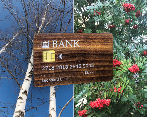 Kreditkarte aus Holz // Wundheilung mit Baumrinden // Baum des Jahres 2023